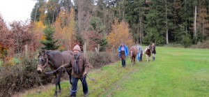 Pferdewanderung