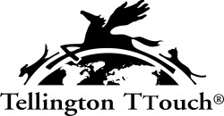 TellingtonTTouch_Logo